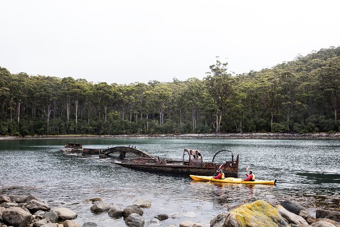 Tasman Peninsula full day kayaking tour - Getting to the water: the 8:00 am start from Cambridge