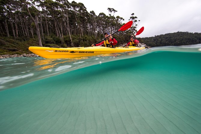 Tasman Peninsula full day kayaking tour - Candlestick, Totem Pole, and sea caves: the coast’s natural route markers