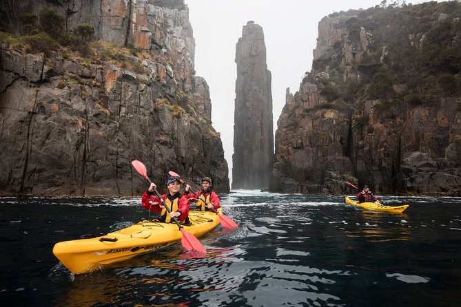 Tasman Peninsula full day kayaking tour - Paddling stamina: up to five hours on the water, but paced