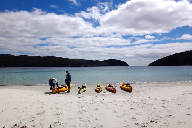 Tasman Peninsula full day kayaking tour - Lunch in a deserted cove: the break that makes the day worth it