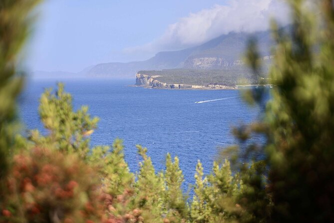 Tasman Peninsula Small-Group Guided Tour From Hobart - Price and what you’re truly paying for (the real value test)
