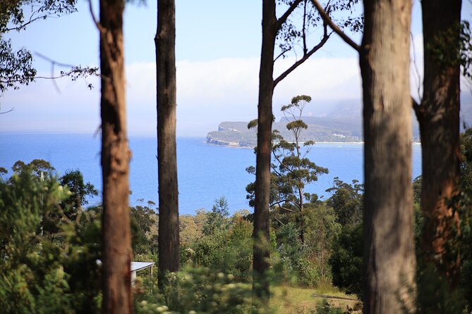 Tasman Peninsula Small-Group Guided Tour From Hobart - Stop-by-stop: from Princes Wharf to Tessellated Pavement