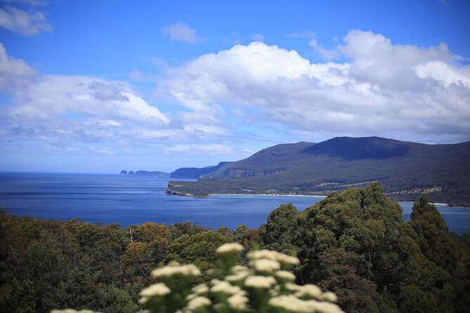 Tasman Peninsula Small-Group Guided Tour From Hobart - The small-group format with Chaboo (and why it changes your day)