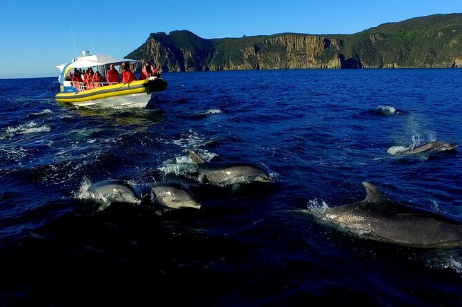 Tasman Peninsula Wilderness Cruise from Port Arthur - Price and value: what $129.10 buys you