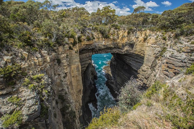 Tasman Peninsula Wilderness Cruise from Port Arthur - Who should book this cruise (and who should think twice)