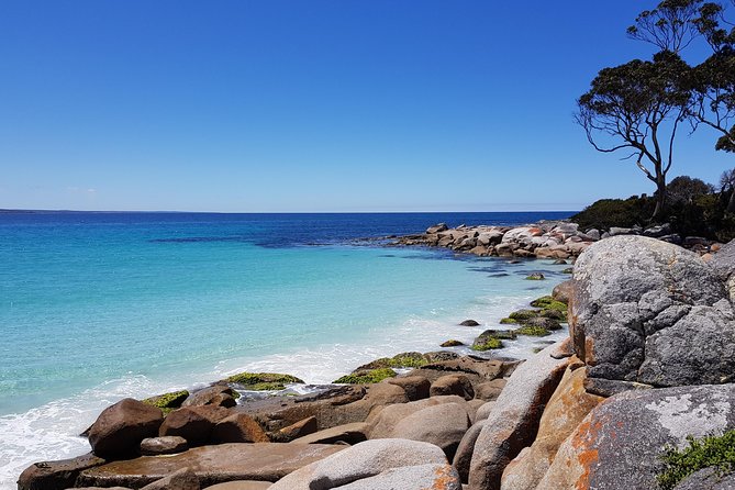 Tasmania 5 Day East Coast Tour - Why This Hobart to Bay of Fires Route Fits Five Days
