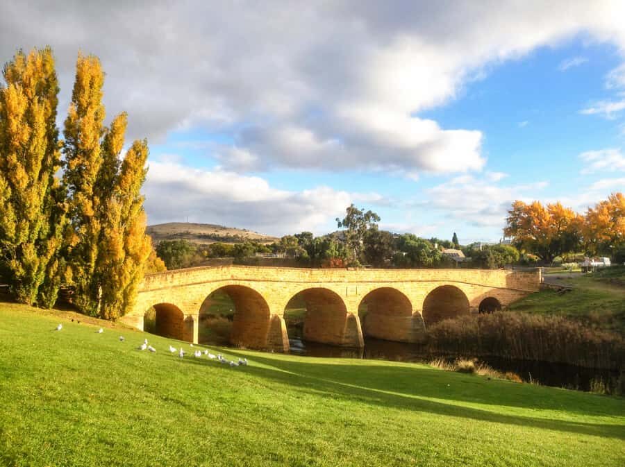 Tasmania: 6-Day Comfort Tour for Wilderness and Wildlife - Day 4: Cataract Gorge to Bay of Fires and St Helens coastal stays
