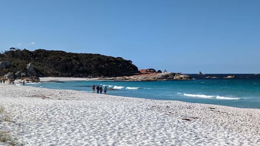 Tasmania: 6-Day Comfort Tour for Wilderness and Wildlife - Day 5: Freycinet National Park to Eaglehawk Neck with Wineglass Bay views