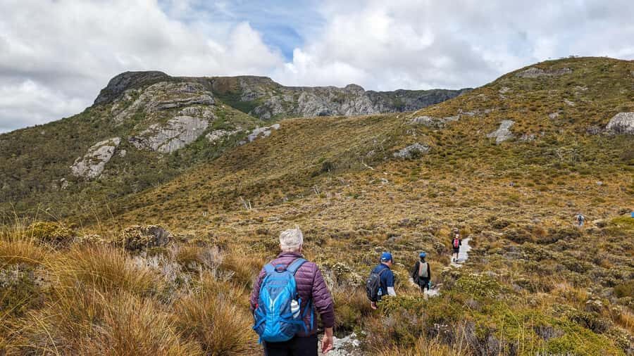Tasmania: 6-Day Comfort Tour for Wilderness and Wildlife - Day 6: Tessellated Pavement to Port Arthur, plus Tasmanian devils and Richmond