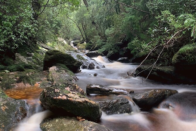 Tasmania 8 Day - Tour in Circle - Day 8: Hobart on Your Own for 3 Hours