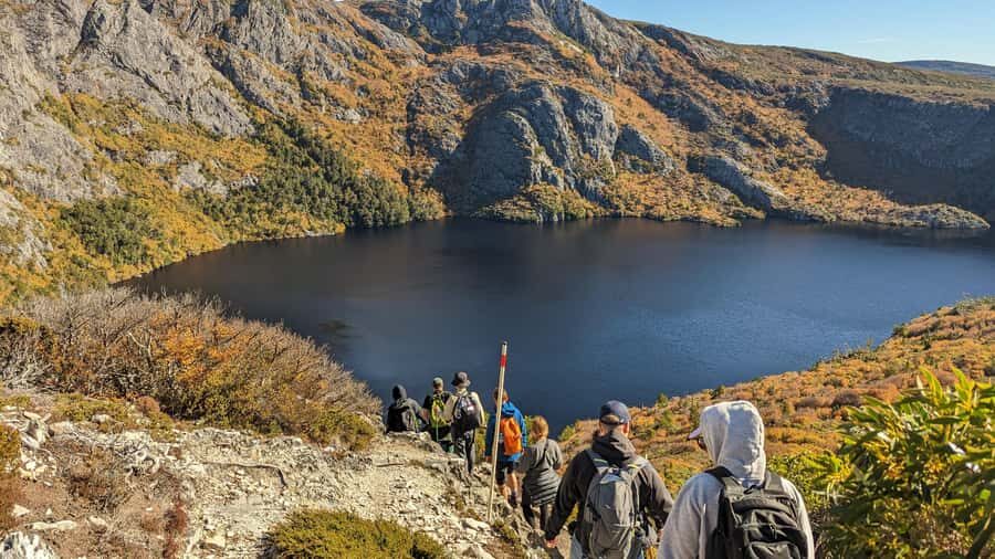 Tasmania: Wilderness and Wildlife Guided 6-Day Tour - A car-free Tasmania route built around walking