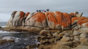 Tasmania: Wilderness and Wildlife Guided 6-Day Tour - Day 1: Hobart to Strahan via Mount Field, Russell Falls, and Lake St Clair