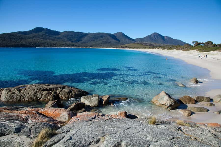 Tasmania: Wilderness and Wildlife Guided 6-Day Tour - Day 2: West Coast wilderness with Henty Sand Dunes and Ocean Beach