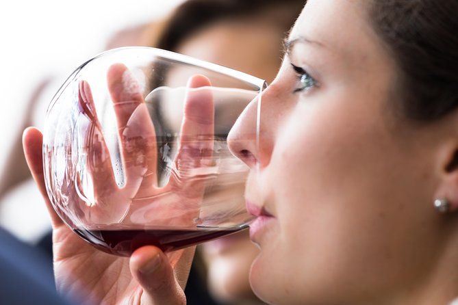 Tasmanian Premium Wine Tour with Tasmanian Cheese Platter - The day’s rhythm: four wineries, tours, and tastings without the rush