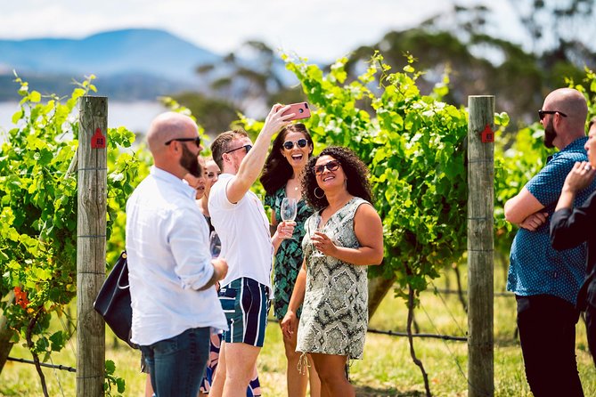 Tasmanian Premium Wine Tour with Tasmanian Cheese Platter - Transport and comfort: small-group van energy