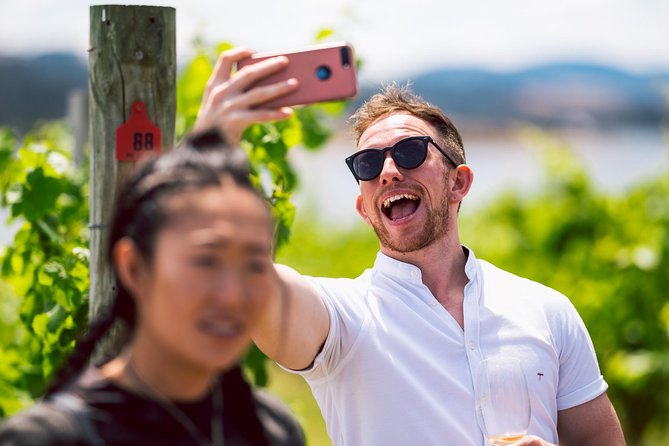 Tasmanian Premium Wine Tour with Tasmanian Cheese Platter - Price and value: is $207.28 worth it?