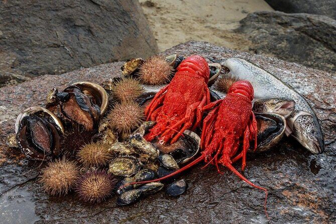 Tasmanian Seafood Gourmet Full-Day Cruise Including Lunch - Key things I’d circle on your planning list