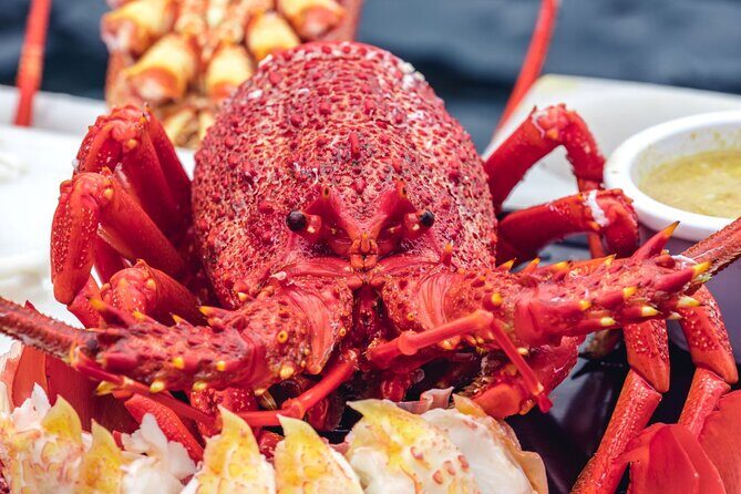 Tasmanian Seafood Gourmet Full-Day Cruise Including Lunch - The gourmet lunch: lots of food, and the cooking actually matters