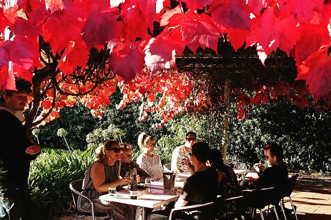 Valleys of Vino Full Day Tour - Key things to know before you go