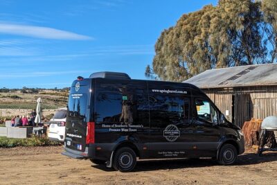 Valleys of Vino Full Day Tour - Derwent Estate: the first 45 minutes set the tone