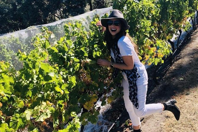 Valleys of Vino Full Day Tour - Coal Valley Vineyard stop: more chances to tailor the route