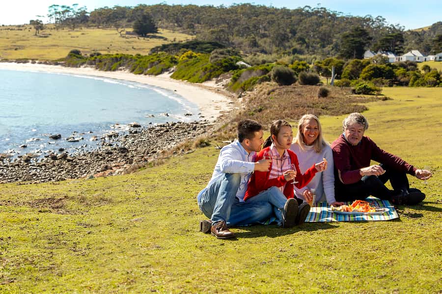 Wineglass Bay and Maria Island Scenic Flight Experience - Ile Des Phoques: spotting seals without changing your plans