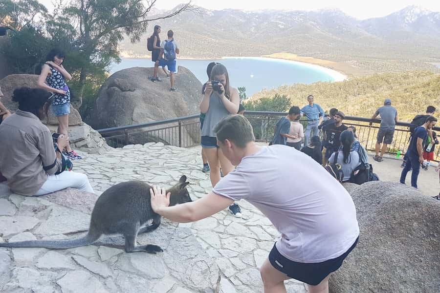 Wineglass Bay & Freycinet National Park Day Trip from Hobart - Comfortable Transport and Smart Stops on the Drive Out